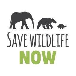 put a stop to excessive poaching because the worlds beautiful animals are becoming extinct