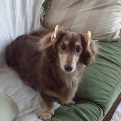 momokoo22's profile picture. アカウントかえましたフォローしてください( ´ ▽ ` )ﾉ／sophia／starbucks