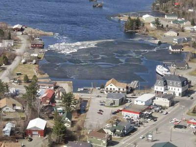 bawasa's profile picture. Have for as long as I can remember been a lover of nature and the great outdoors.