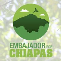 EmbajadorXChiapas(@EporChiapas) 's Twitter Profile Photo