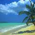 palmbeach (@palmbeach717) Twitter profile photo palmbeach (@palmbeach717) Twitter profile photo