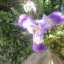 منصور طالب (@023242239mansou) Twitter