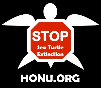 https://t.co/EFS3hBOVby is the #seaturtle project of @OceanHealth. Join the #HonuHui for our sea turtle tweets!