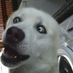 Pepor (@correpepor) Twitter profile photo Pepor (@correpepor) Twitter profile photo
