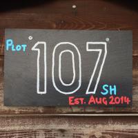 Plot 107 (@plot_107) 's Twitter Profile