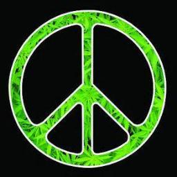 The American Marijuana Initiative, a privately-owned think tank and NGO advocating for the legalization of medical and recreational marijuana.