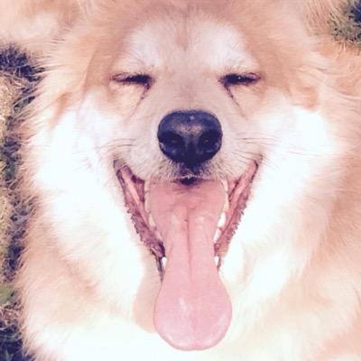 Atls37Aitor's profile picture. Componente y escritor del grupo applelianos