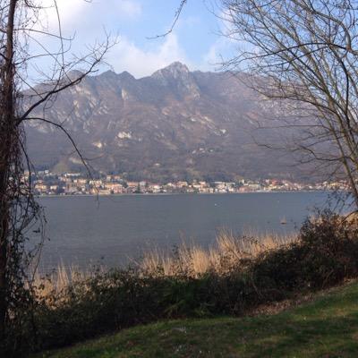 sbrillucicante's profile picture. 