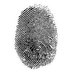 INTJ, Security guy, Investigator, Forensicator, Cyclist