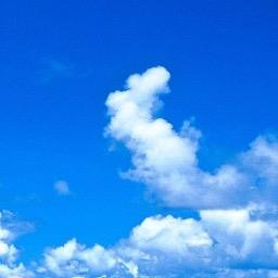 GARealEstatePro's profile picture. Follow and I'll FollowBack