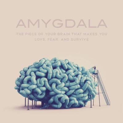 Amygdala Magazine: Digital cross-genre Short Story mag with a common theme. Contests for new writers. Submit your story at http://t.co/QtwdXXXWOf