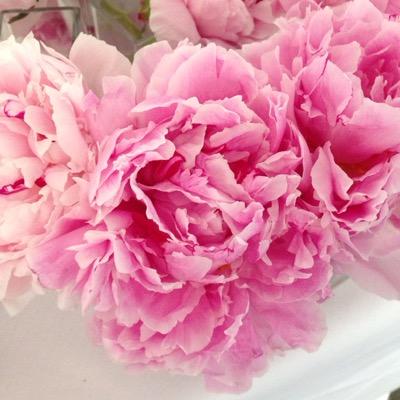 SlingGirl_'s profile picture. 