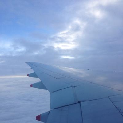 feyzfi's profile picture. 