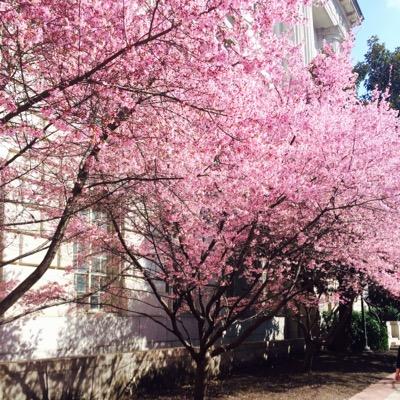 Solair_Systems's profile picture. 