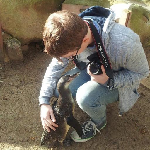 RobFSumner's profile picture. Head of VT at  @Timeline_TV