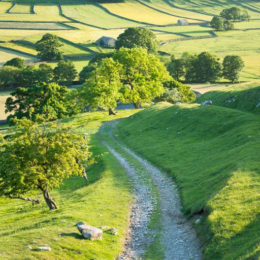 Yorkshire based landscape photographer specialising in images of the Yorkshire Dales, and other parts of UK
. Prints available, please contact me via my website