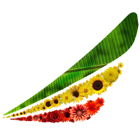 Ethiopian Airlines (@ethiopianair_uk) 's Twitter Profile