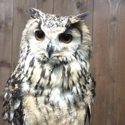 たか～るさんのプロフィール画像