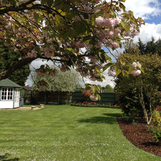 ebury_court's profile picture. Independent care home for people with or without dementia. Dedicated to giving older people a safe & comfortable place they can call home.