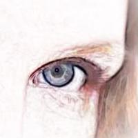 Hilt (@hiltenthaliese) 's Twitter Profile