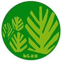 Blas Café (@blascafe) 's Twitter Profile Photo Blas Café (@blascafe) 's Twitter Profile Photo