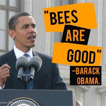 Bees are good. Just in case you had to ask: no, I'm not Barack Obama. I'm just a bee-loving robot clone that looks like him.