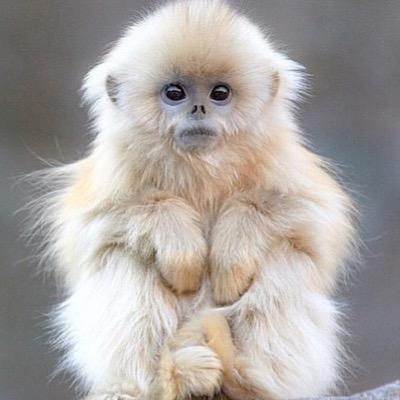 For all animal lovers / #thecritterhaven / Send photos to thecrittenhaven@yahoo.es and I will publish it with your name