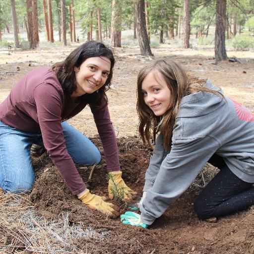 Sugar Pine Foundation is saving sugar pines & other white pines from a non-native, incurable fungus called white pine blister rust. Help us plant some trees!