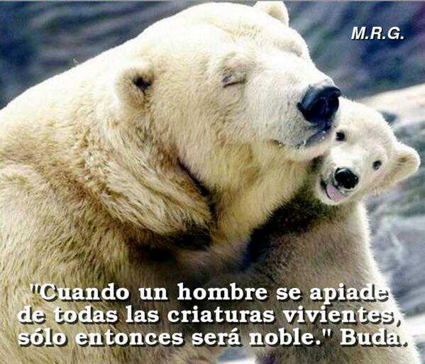 luzjerico's profile picture. Hola México la naturaleza su creacion son lo mas maravilloso del mundo, ama la naturaleza. no la destruyas.