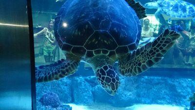 vafinaet's profile picture. 