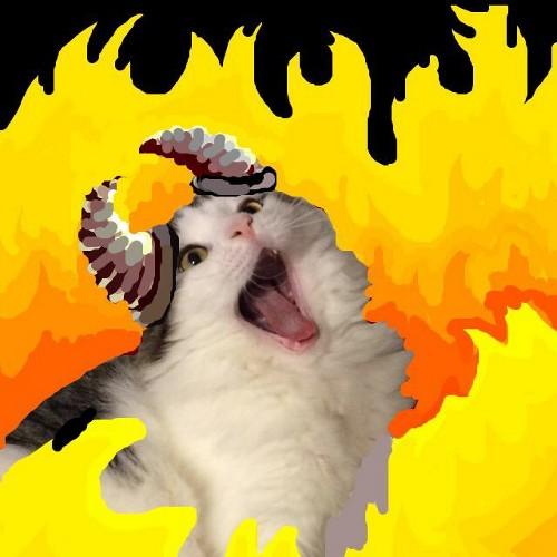 potymeows's profile picture. Kill people, burn shit, fuck school