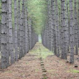 ProtectedOxygen's profile picture. Worlds biggest human created park/nonprofit