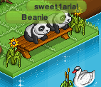 I am a panda in bittybay and make sure to follow me BB fans! I hate people who beg for stuff.