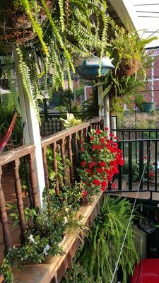 DerasRoxana's profile picture. 