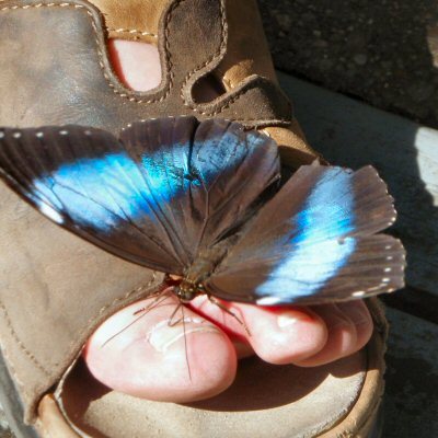 where the cool butterflies hang out.  Butterfly art and photography http://t.co/tDFLL20fYj