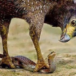 AnaMoslem44's profile picture. ‏أحب الحق فهو من أسماء الله
وأكره الظلم والظالمين
مع الحق حتي يأتي أو أرحل
 لن نستسلم ننتصر أو ننتصر بإذن الله