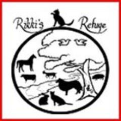 rikkisrefuge Profile Picture