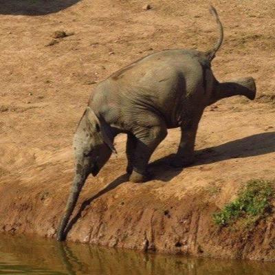 JanineColson1's profile image