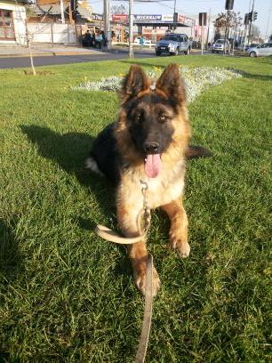 luchin3tornillo's profile picture. 