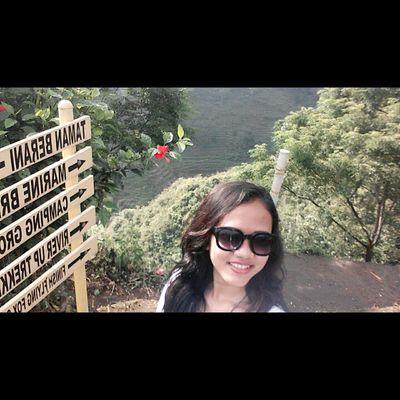 lidyaluo's profile picture. The 3 C's of Life: 
 Choices, Chances, and Changes 
 You must make a Choice to take a Chance or Your life will never Change.