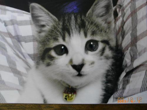 eijyan's profile picture. メーカー会社員。 BOP project、Save the memory project、CSV、RICOH THETA