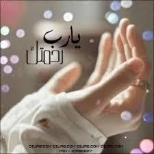 alsma2020's profile picture. 