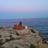 andreaGonVic's profile image