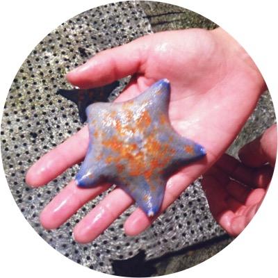 hrtpakpak's profile picture. K-POP(ﾄﾝ･SJ･SHINee･EXO･NCTﾖｼﾞｬｱｲﾄﾞﾙ全般) 食べること ごろごろすること ｶﾌｪ いい香り ｽﾆｰｶｰ…^^♪