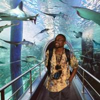 Tinashe Kenny (@tinken) Twitter profile photo
