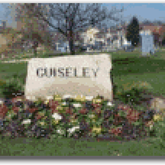 All things Guiseley from a Guiseley lad!