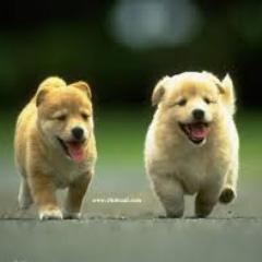 KangeJeni's profile picture. 