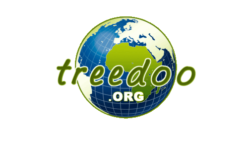 treedoo's profile picture. 