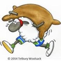 Tetbury Woolsack Day (@tetburywoolsack) 's Twitter Profile