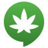 curatedcannabis avatar